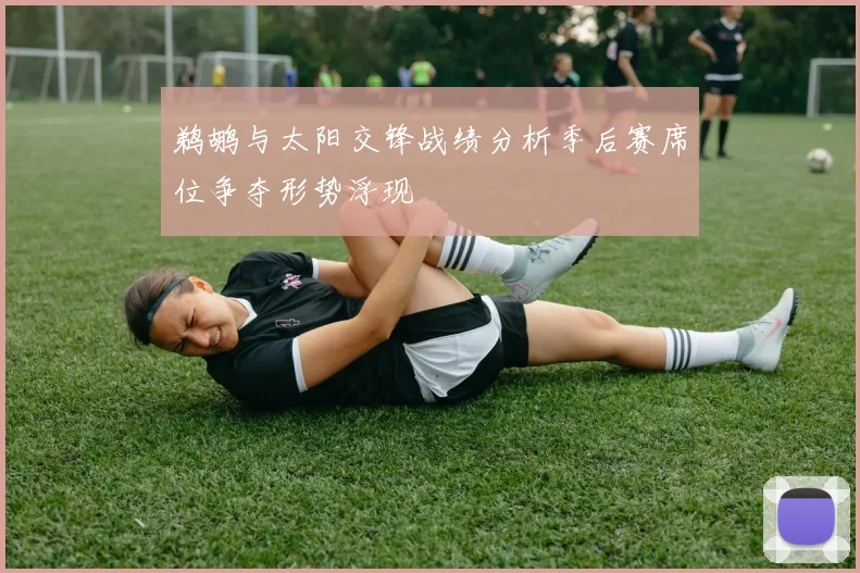 鹈鹕与太阳交锋战绩分析季后赛席位争夺形势浮现