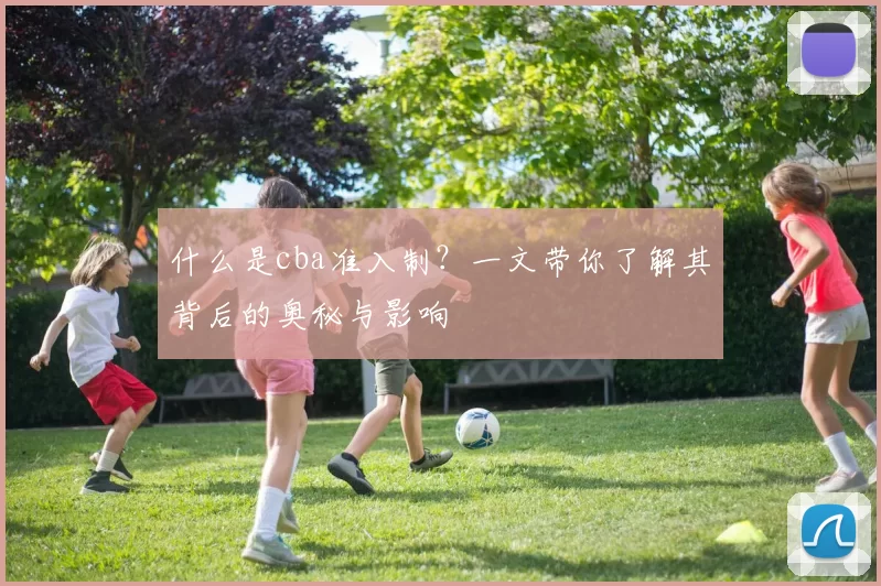 什么是cba准入制？一文带你了解其背后的奥秘与影响